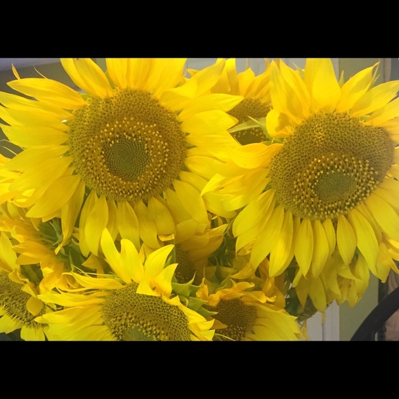 Thank you for shopping my closet. Bundle to save!! - Picture 7 of 8